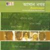 Nikhil Biswas - Namaje Bose Dekho