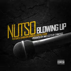 Blowing Up (feat. Shabaam Sahdeeq & Royal Flush) Song Lyrics