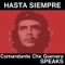 Los Revolucionarios No Son Gente Normal... - Che Guevara lyrics