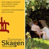 Sommer i Skagen artwork
