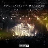 You Satisfy My Soul (Live) artwork