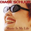 That Old Devil Called Love (LP Version)  - Diane Schuur 