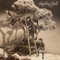 A Ballad for the Bleeding Hearts - Howling Bells lyrics