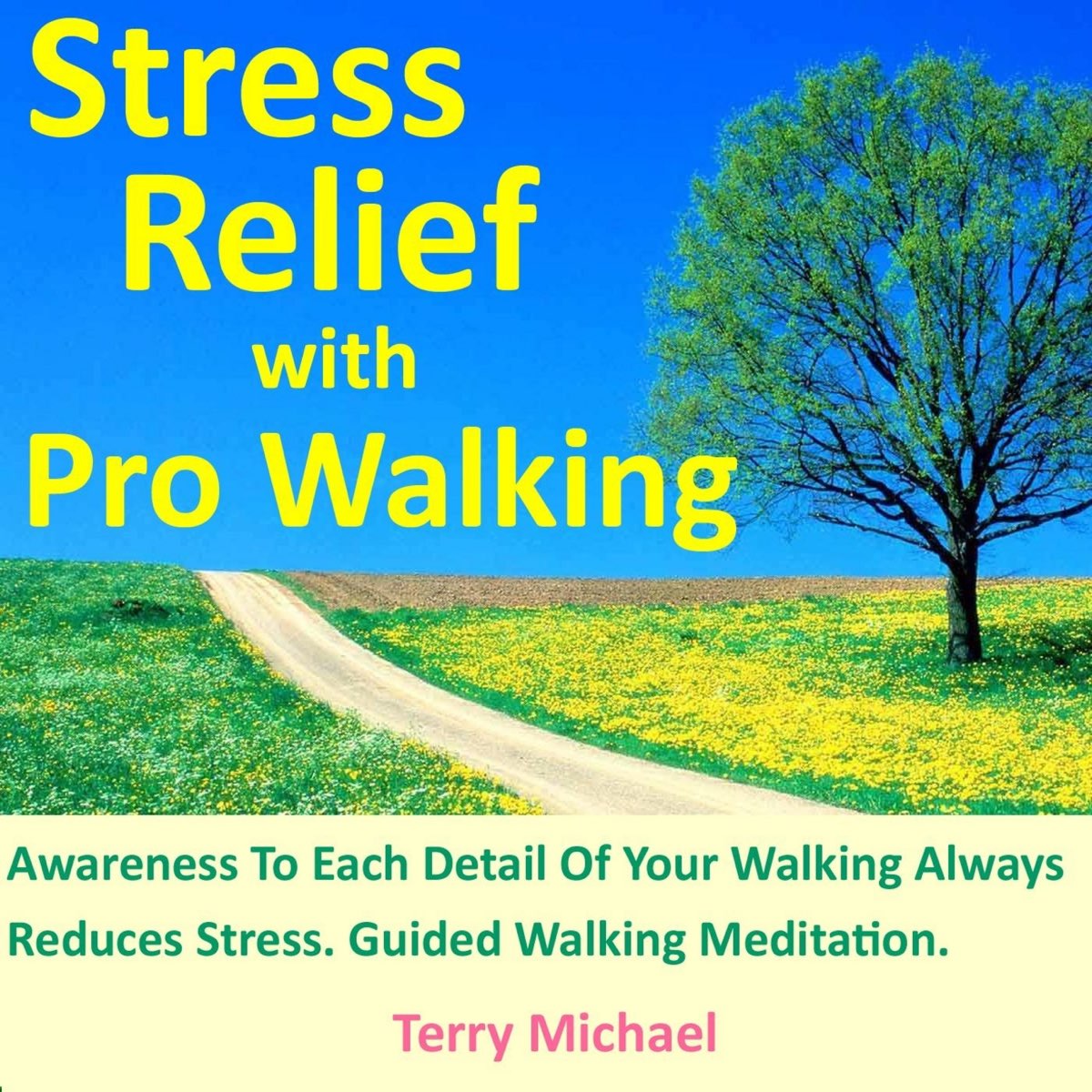 stress-relief-with-pro-walking-awareness-to-each-detail-of-your