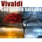 Concerto pour violon No. 3 in F Major, Op. 8, RV 293 "L'automne": I. Allegro artwork