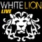 Wait - White Lion lyrics