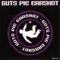 Cellectribe (Kostj Picunda Cello Front) - Guts Pie Earshot lyrics