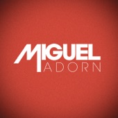 Miguel - Adorn