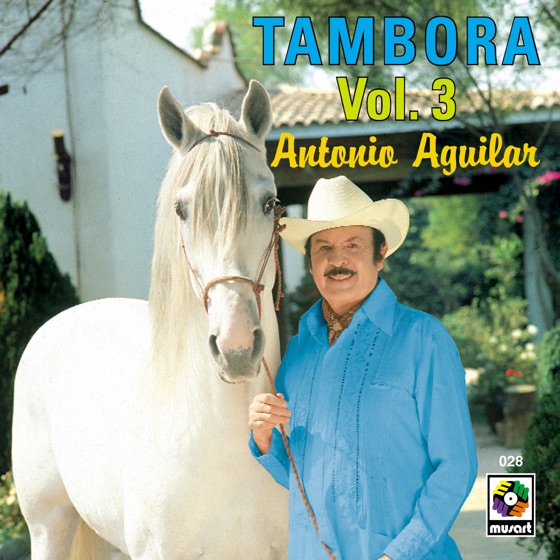Cover artwork for Anillo Grabado