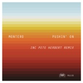 Pushin’ On (Pete Herbert Remix) artwork