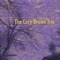 The Terrace Shuffle (after John Scofield) - The Cary Brown Trio lyrics
