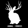 Animal (Remixes) - Single artwork