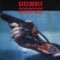 Magnum Force - Sielwolf lyrics