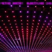 Metric System - Electronic Dub artwork