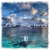 Pure Bliss Vocals Volume 3, 2013