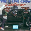 The 2 Live Crew Is What We Are artwork