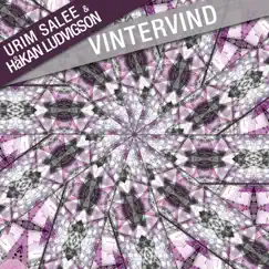 Vintervind (Original Mix) Song Lyrics