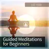 Guided Meditation for Beginners album lyrics, reviews, download