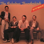 The Fabulous Thunderbirds - I Believe I'm In Love