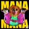 Mana Mana (feat. Ardy & Ju Bam) - Vincent Lee lyrics