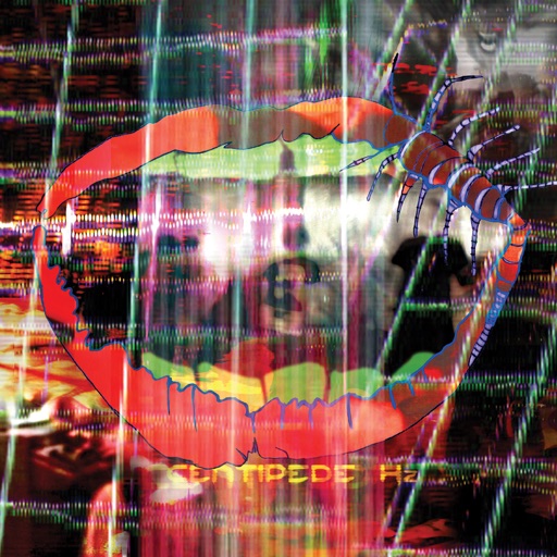 Album art for Animal Collective - Today's Supernatural