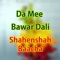 Da Khoigi Rang Pasham - Shahenshah Baacha lyrics