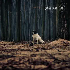Saiko - Quidam Saiko - Quidam