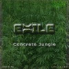 Concrete Jungle - Single artwork