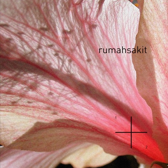 Cover artwork for Anomali