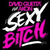 Sexy Bitch (Abel Ramos Atlanta With Love Mix Remix) [feat. Akon] by David Guetta