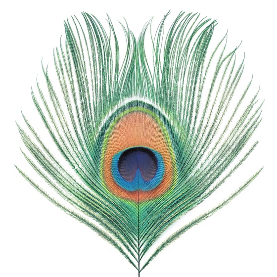 Cover artwork for Greenman