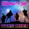 Psychedelic Essentials, 2012