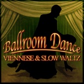 Vito's Waltz - The New 101 Strings Orchestra