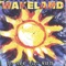 misconstrued - wakeland lyrics