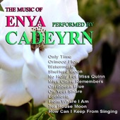 The Music of Enya artwork