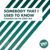 Somebody That I Used to Know - Single