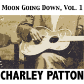 You're Gonna Need Somebody When You Die - Charley Patton