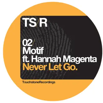 Never Let Go (Danny Stubbs Remix) by Motif song reviws