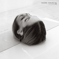 The National - Trouble Will Find Me artwork