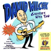 David Wilcox - Medley: Do The Bearcat, Bad Apple and That Hypnotizin' Boogie