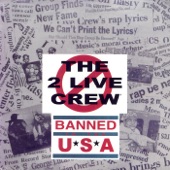 Banned In the USA (Percappella) artwork