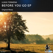 Before You Go artwork