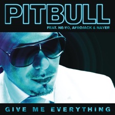 Give Me Everything artwork