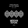 Troubles In My Head (feat. Siam) - Single