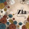 Alone in My Room - Zia lyrics