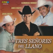 Los Tres Señores Del Llano artwork