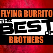 The Best of Flying Burrito Brothers artwork