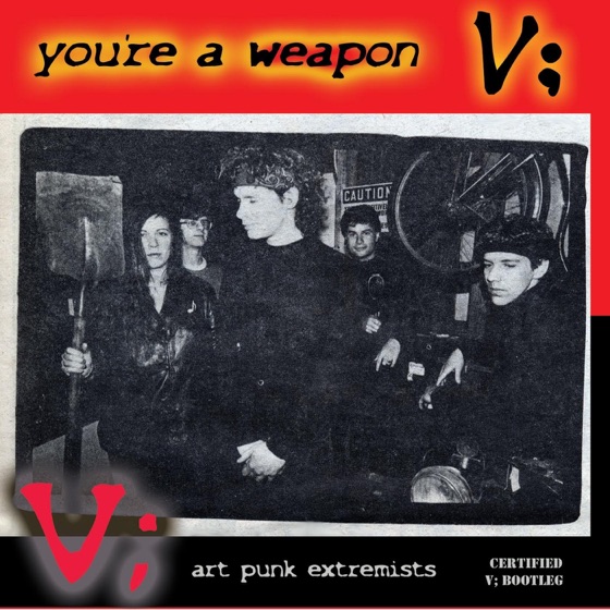 Cover artwork for V;