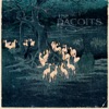 The Dacoits artwork