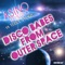 Disco Babes from Outer Space - Asino Di Medico lyrics